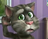 Игра Говорящий кот на компьютер