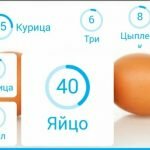 Игра 94 процента ответы