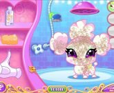Игра Винкс на двоих игроков