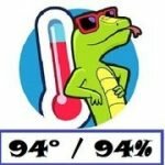 Игра 94 процента 