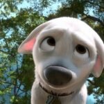 Игра Собаки и щенки