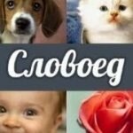 Игра Словоед
