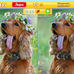 Игра Смешные отличия