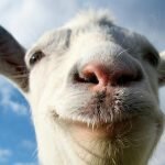 Игра Goat Simulator