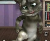 Игра Talking Tom Cat 2