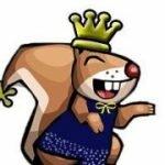 Игра Картинки трагедия белок