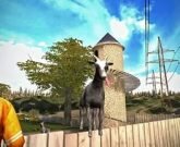 Игра Симулятор козла на компьютер