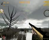 Игра Стрелялки на компьютер 