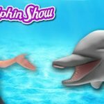 Игра Шоу дельфинов 10