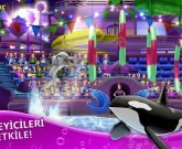 Игра Шоу дельфинов 9