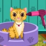 Игра Уход за кошками
