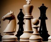 Игра Шахматы для начинающих 