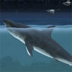 Игра Акула убийца